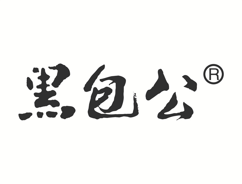 171安徽黑包公